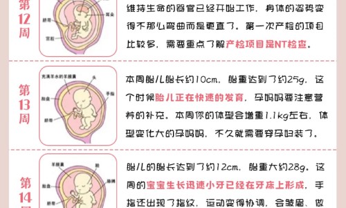 乳头真菌感染多久能好-乳头真菌早期症状、真菌感染涂药后为什么越来越痒 -乳头真菌感染用药后变光滑了正常吗网