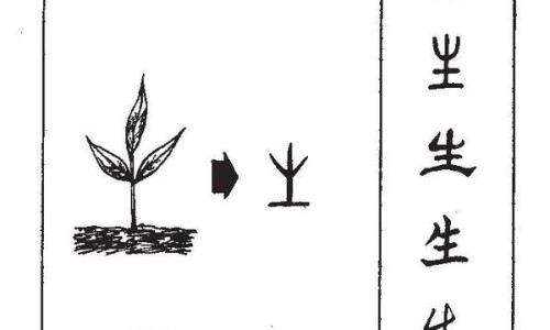 真菌感染用完药可痒正常吗-乳头真菌早期症状、真菌感染涂药后为什么越来越痒 -乳头真菌感染用药后变光滑了正常吗网